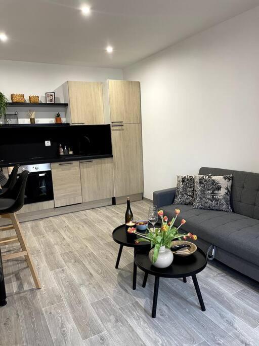 מולאן Bel Appartement Sur Cour Plein Centre Ville Et Parking מראה חיצוני תמונה